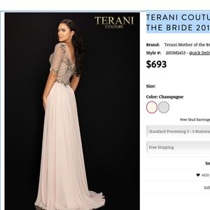Terani Couture Gown